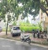 Bán lô đất biệt thự mặt đường đôi Mai Hắc Đế, KĐT Tuệ Tĩnh, Tây HP, 195m2, mt 12m