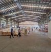 CHO THUÊ KHO,XƯỞNG MỚI 100% KHU CẨM GIÀNG HẢI DƯƠNG DT 500M2 ĐẾN 100.000M2