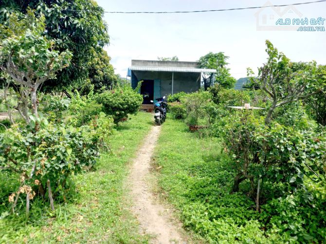 Ngộp Quá Bán Nhanh-Đất Thôn 2-Hàm Liêm-Lâm Đồng-10.300m2+11.400m2 - 3