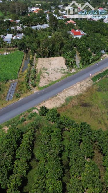 Cần bán khu đất lớn giáp đường tránh QL 30, gần ngã tư giao nhau đường ĐT 846. - 4