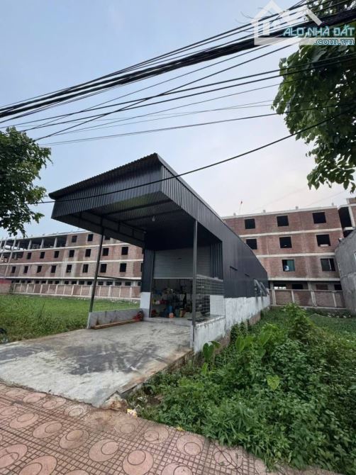Bán Lô Đất 100m² An Hồng, An Dương – Mặt Đường 15m, Tặng Nhà Xưởng, Hợp Đồng T - 3