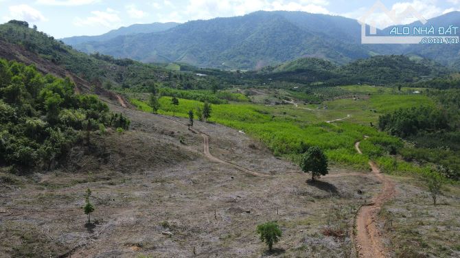bán đất làm trang trại 17 hecta xã Khánh Phú, Khánh Vĩnh đường oto giá chỉ 57k/m2