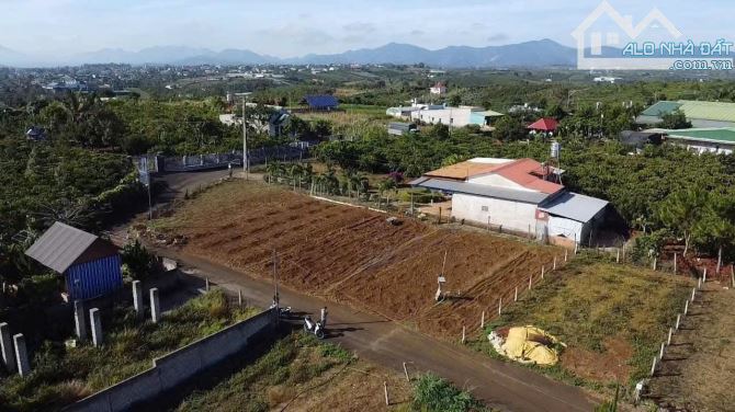 ĐẤT SIÊU RẺ KHU ĐẸP NHẤT PHÙNG HƯNG - LỘC TIẾN - BẢO LỘC