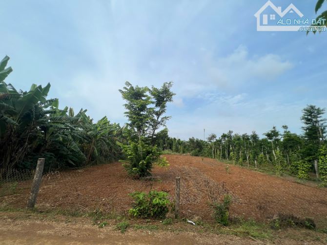440m2 ĐẤT Ở ĐÔ THỊ NGAY BIỂN CỬA TÙNG, 20p TỚI SÂN BAY QUẢNG TRỊ