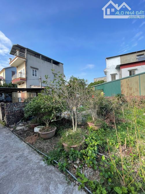 CHÍNH CHỦ BÁN LÔ ĐẤT 41m² – KIM SƠN, GIA LÂM – GIÁ CHỈ 2.3 TỶ