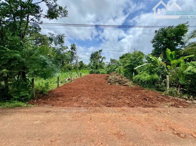 🅿️❇️Đất đường N7 Qh 40m, Eanao A, hẻm Nguyễn Xuân Nguyên, Phường Tân An, 1,550 tỷ, 5x30m❇