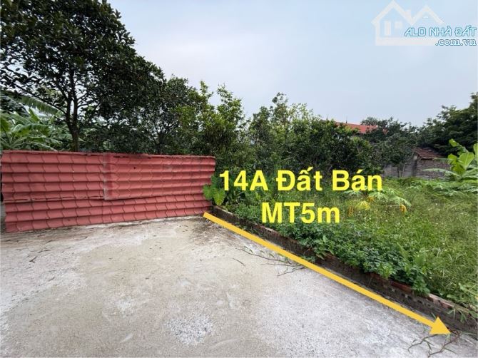 BÁN ĐẤT_ TRUNG TÂM KIM SƠN – NGÕ THOÁNG – Ô TÔ ĐỖ CỬA –77m2, 3,7 TỶ