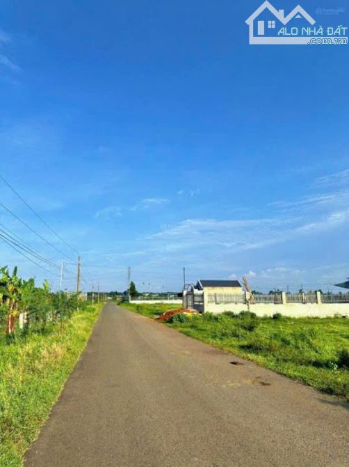 BÁN GẤP LÔ ĐẤT KHU DÂN CƯ CẠNH CAO TỐC BH VT– SỔ SẴN, CÔNG CHỨNG NGAY – GIÁ CHỈ 1 TỶ 155