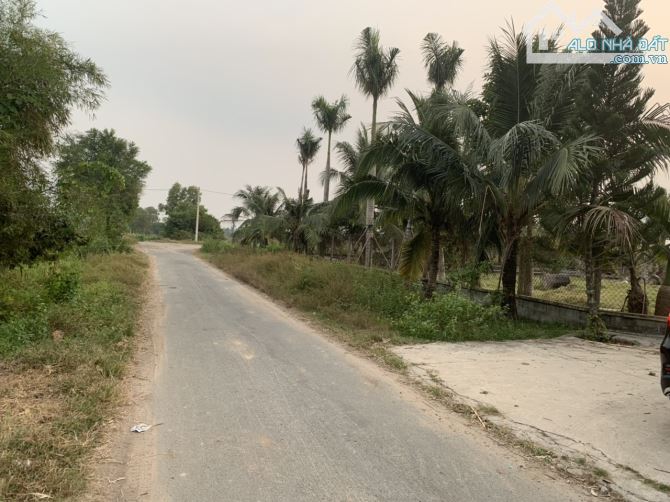 Bán 11,778.6m2 đất tại đường Huỳnh Thị Huề, Thái Mỹ, Củ Chi, TP.HCM