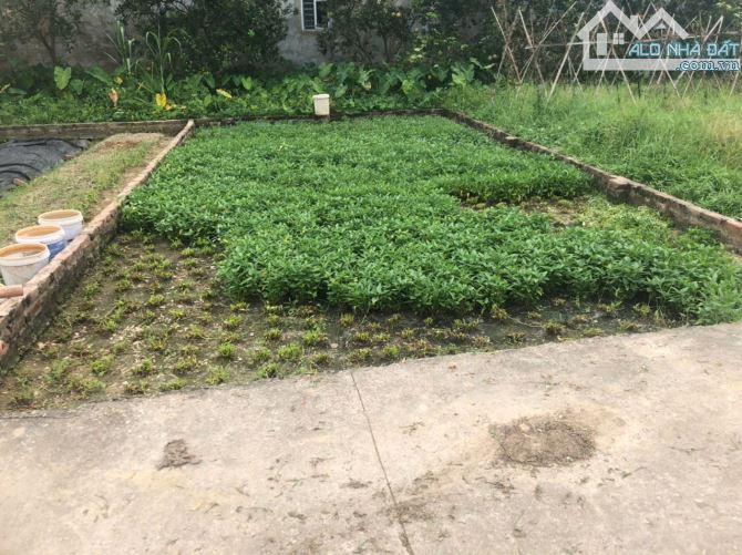 LÔ ĐẤT ĐẸP DIỆN TÍCH VỪA XINH 48M2 TẠI BẮC THƯỢNG QUANG TIẾN SÓC SƠN CHỈ HƠN 1 TỶ