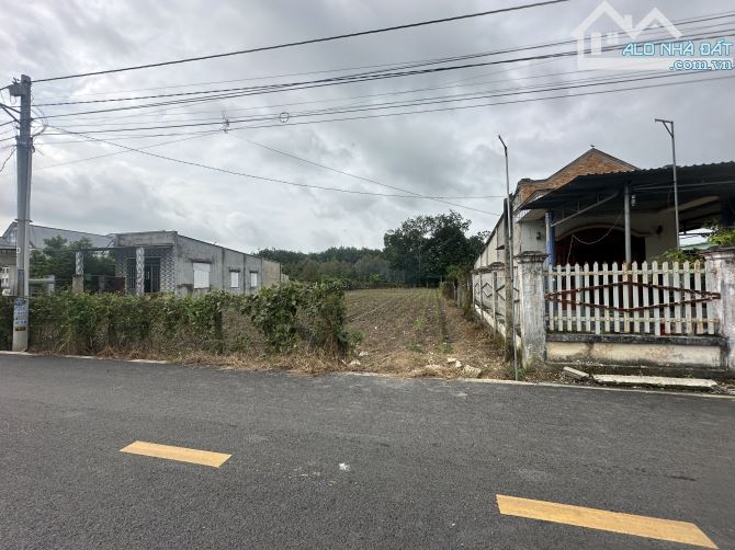 133,9m2 đất TPHCM gần KCN cách trường học 100m2 giá 680TR