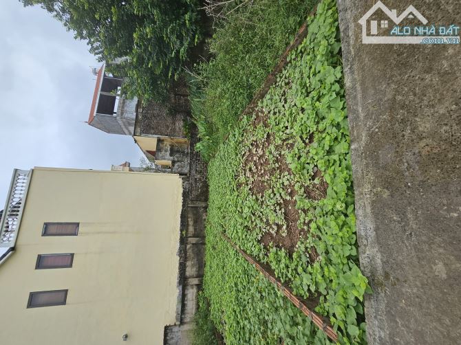 44.6m² đất Trung Châu A – MT 5.33m nở hậu, đường 2.5m – giá chỉ 4xtr/m²