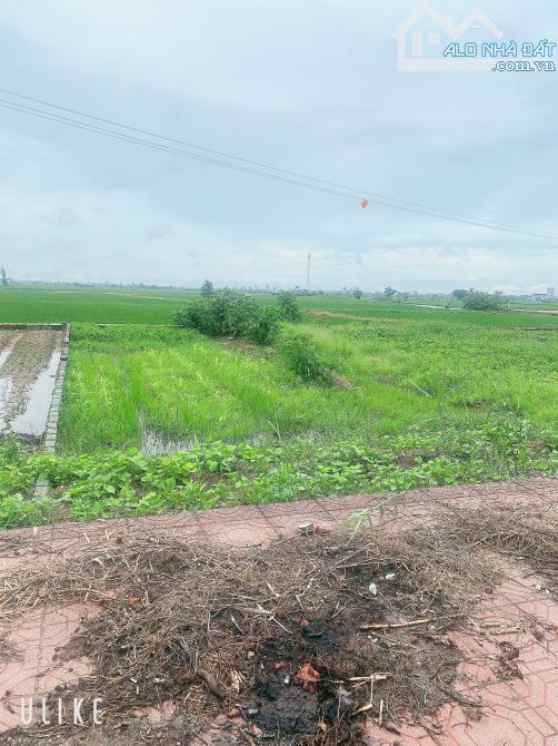 BÁN ĐẤT TRỤC CHÍNH HƯỚNG TÂY NAM TDC VŨ AN THÁI BÌNH