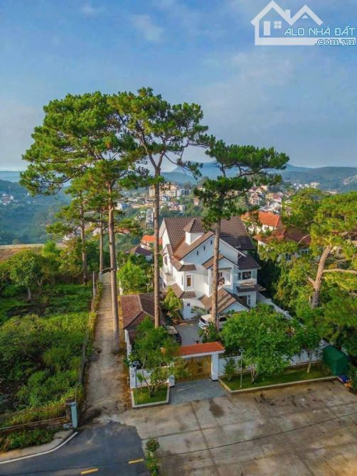 BIỆT THỰ MẶT TIỀN YÊN THẾ 973M2 BAO QUANH THÔNG XANH CẠNH DINH HOÀNG HẬU GIÁ 115 TỶ
