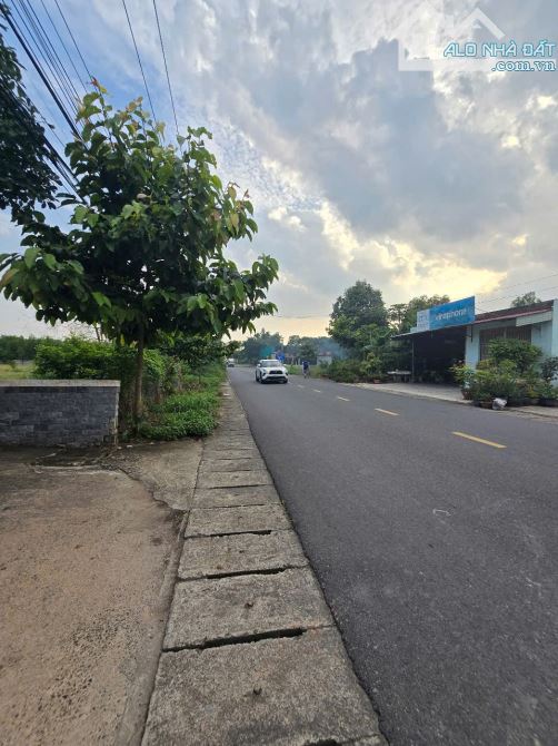 .chủ ngộp hạ 22ty. Thương lượng  nhà vườn kiên cố mặt tiền đường nhựa Cây Dầu, xã Phú Hội