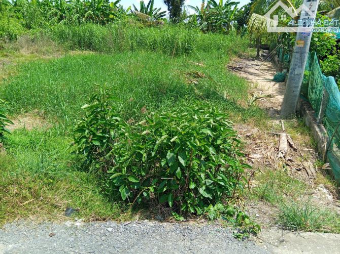 ✅️Bán 577m2 đất thổ cư xã Phú Hòa An Giang ô tô tới đất giá 3.5tr/m2