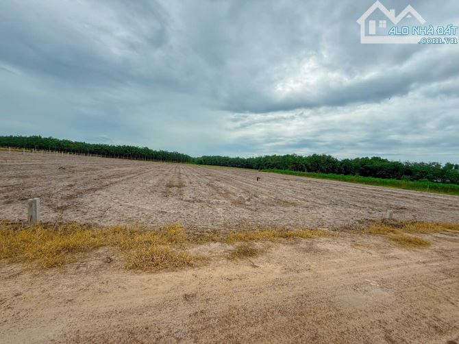 Đất vườn view Núi Bà - gần cụm KCN Tân Phú 2
