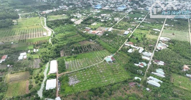 Bán 3,3 mẫu sầu riêng trường đông chỉ 5 tỷ / mẫu
