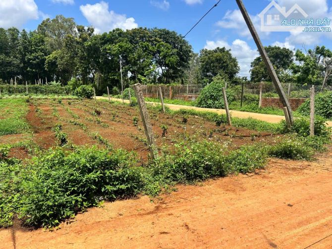 ❌ HÀNG HIẾM ĐẤT EATU GÓC 2 MẶT TIỀN THỔ CƯ 100% NGAY UBND XÃ VÀO 200