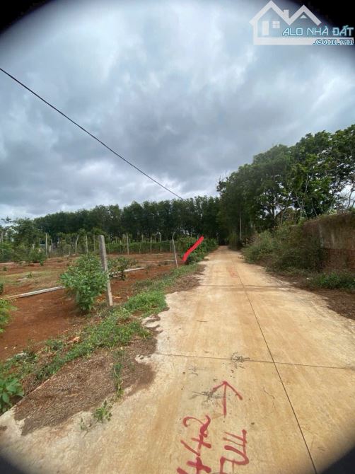 bán đất Eatu - gần Quốc lộ 14-26