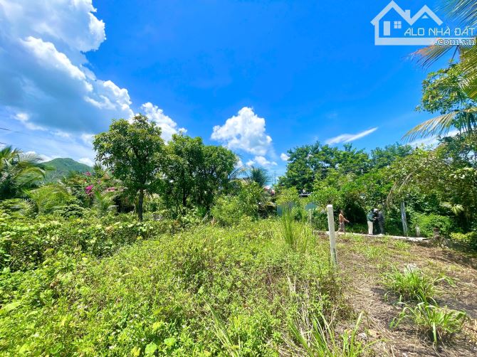 Đất đẹp đường Nội Thôn, Thôn Phước Trạch, Xã Diên Khánh, Khánh Hoà