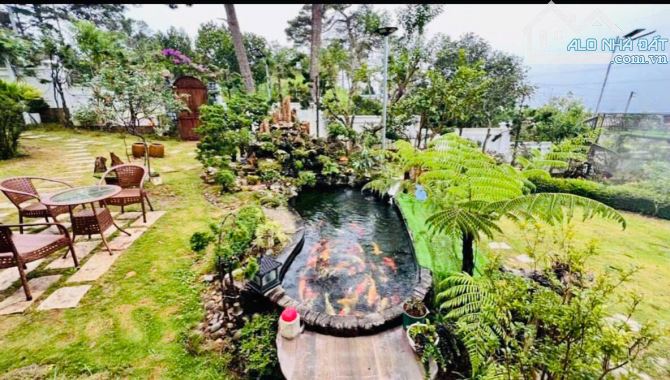 BIỆT THỰ MẶT TIỀN YÊN THẾ 973M2 BAO QUANH THÔNG XANH CẠNH DINH HOÀNG HẬU GIÁ 115 TỶ - 10