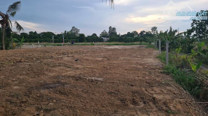 Cần bán khu đất lớn giáp đường tránh QL 30, gần ngã tư giao nhau đường ĐT 846. - 5