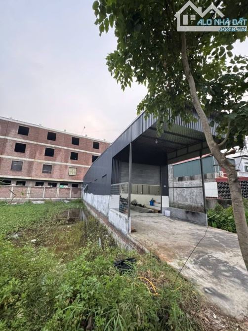 Bán Lô Đất 100m² An Hồng, An Dương – Mặt Đường 15m, Tặng Nhà Xưởng, Hợp Đồng T - 4