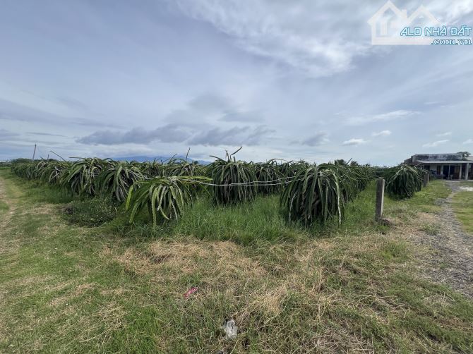 💥BÁN ĐẤT VƯỜN VIEW TRIỆU ĐÔ TẠI XÃ HÀM MỸ - TỈNH BÌNH THUẬN - 1