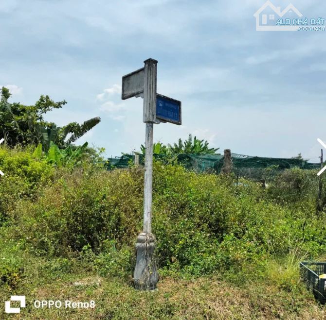 Lô đất mặt tiền Đông Hải 12 . DT:100m , ngang 5m . Giá : 3tỷ650 TL - 1