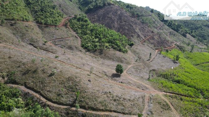 bán đất làm trang trại 17 hecta xã Khánh Phú, Khánh Vĩnh đường oto giá chỉ 57k/m2 - 1
