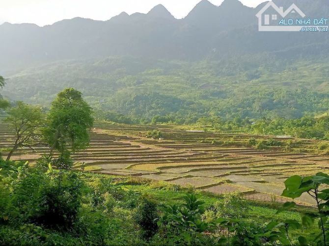 Chỉ 700 trđ,2300 Cun Pheo,bám bê tông 32m,view toàn bộ ruộng bậc thang,cách tỉnh lộ 100m - 1