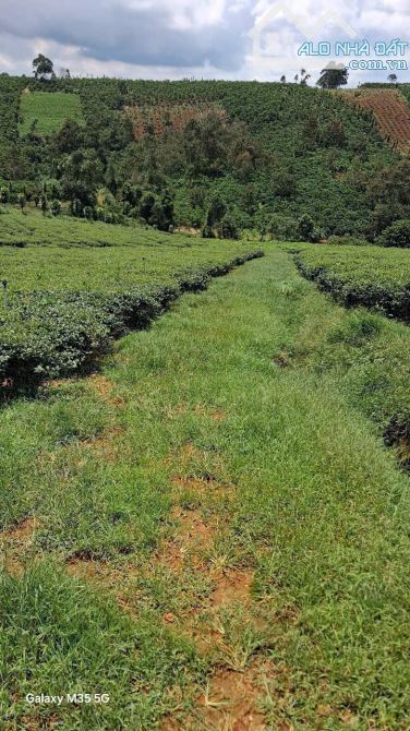 BÁN LÔ ĐẤT LỚN  TẠI LỘC TÂN - HƠN 4 SÀO CHỐT NHANH CHỈ 1.4 TỶ - 1