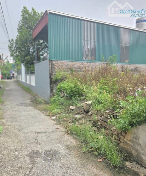 📣📣📣 B.Á.N Đ.Ấ.T - VĂN GIANG - HƯNG YÊN - Ô TÔ - 60M² - 2.X TỶ - 1