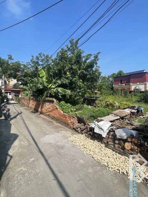 BÁN LÔ ĐẤT 74m² ĐỨC HIỆP – XUÂN LÂM, THUẬN THÀNH – BẮC NINH GIÁ CHỈ 39 TRIỆU/m² - 1
