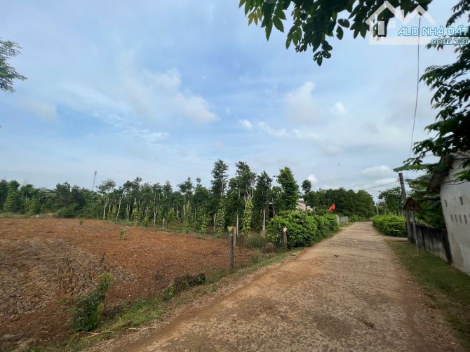 440m2 ĐẤT Ở ĐÔ THỊ NGAY BIỂN CỬA TÙNG, 20p TỚI SÂN BAY QUẢNG TRỊ - 1