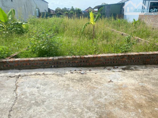 BÁN GẤP 100m² – MẶT TIỀN 5m – Ô TÔ VÀO TẬN ĐẤT – FULL THỔ CƯ - 1