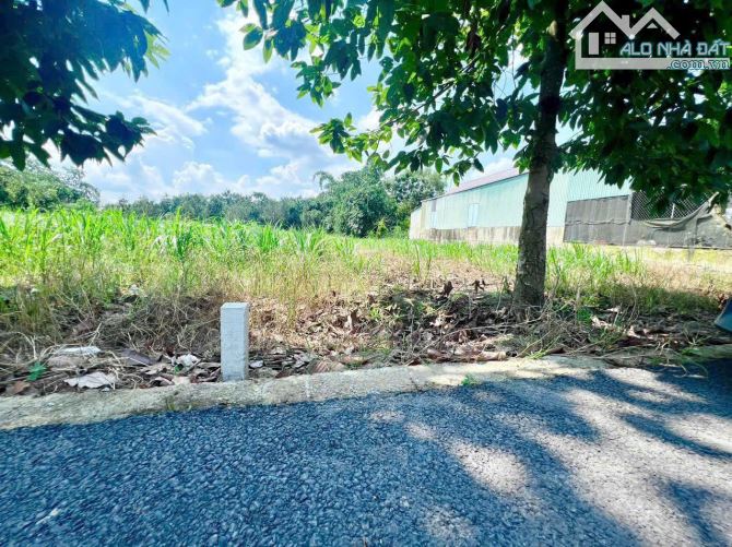 Đất ngộp giá cũng vừa túi- 165m2 sẵn 100 thổ cư - 1