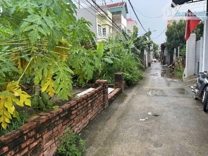 🍀 🍀 Bán 93m2 Thuỵ Lôi, Thuỵ Lâm – Phân Lô Ô Tô 7 Chỗ vào đất - Ở hay đầu tư đều tuyệt - 1