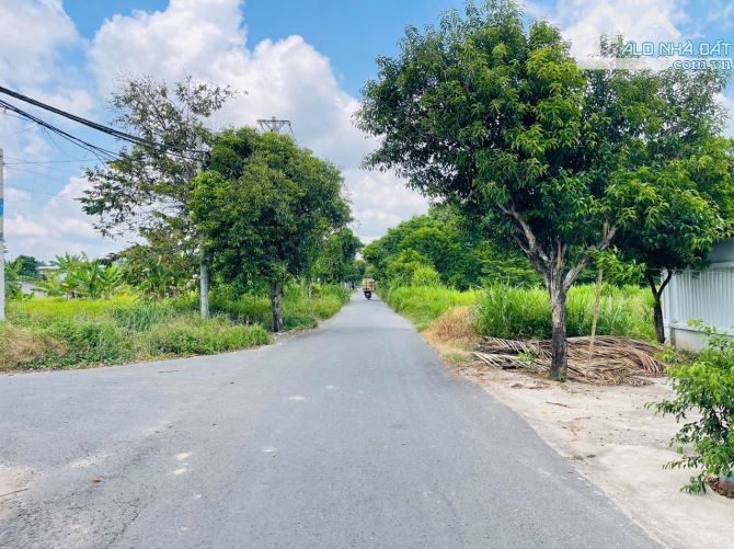 Cần bán đất mặt tiền đường nhựa số 28 Ấp Hậu xã Tân Thông Hội 5x22 110m2 Full Thổ - 1