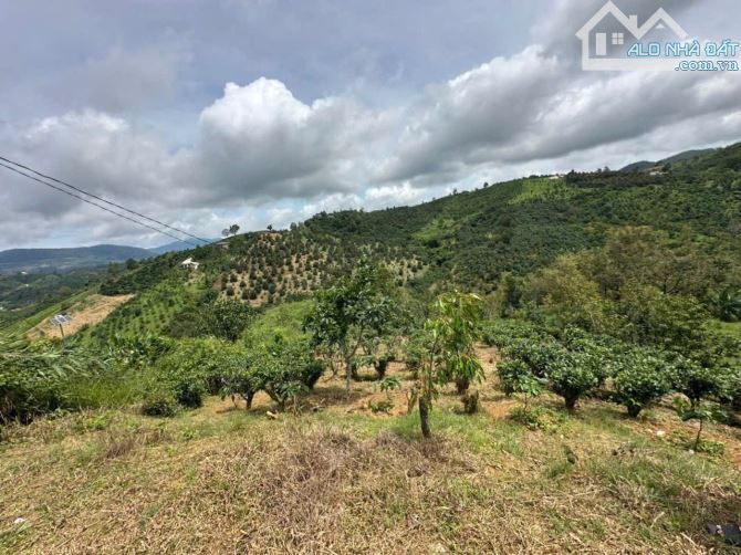 HƠN 3800M2 CHỈ 1,5TỶ LÔ ĐẤT MẶT TIỀN BLAOXÊRÊ VIEW ĐẸP. KHU DÂN CƯ - 1