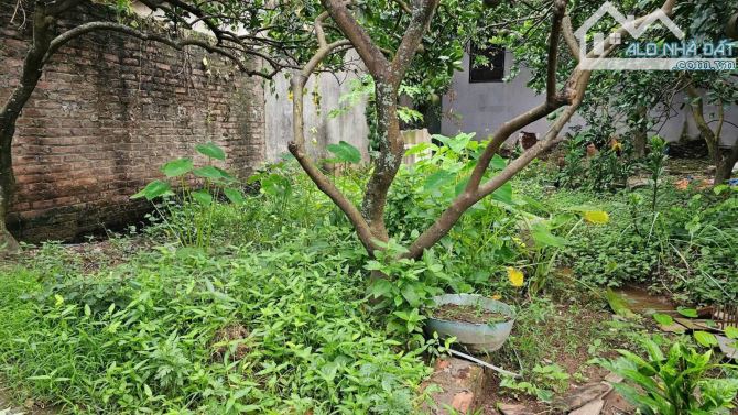 Bán đất Thượng Cát, Bắc Từ Liêm, 50m2, giá 4.85 tỷ - 1