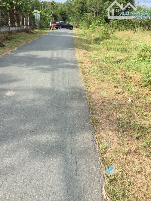 Bán 4,007.5m2 đất tại đường Tăng Thị Hội, An Nhơn Tây, Củ Chi, TP.HCM - 1
