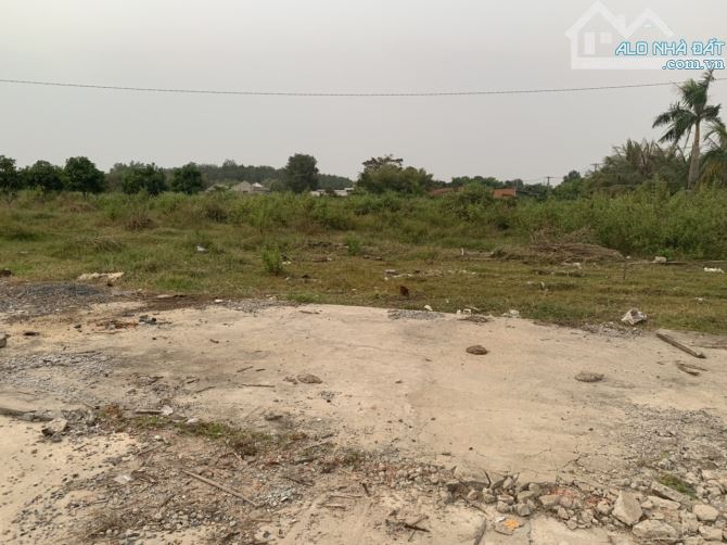 Bán 11,778.6m2 đất tại đường Huỳnh Thị Huề, Thái Mỹ, Củ Chi, TP.HCM - 1