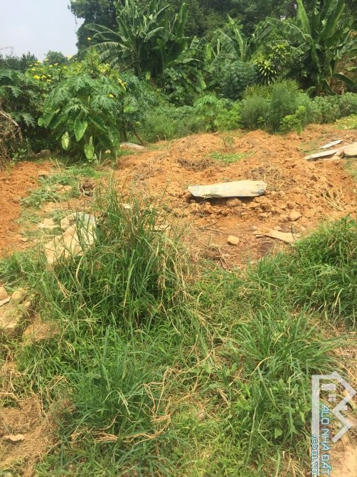 - Bán nhanh mảnh đất xã Tiên Phương 45m2, Mt 5m, Vị trí đẹp  OTo đỗ cửa , Giá chỉ 1.849 tr - 1