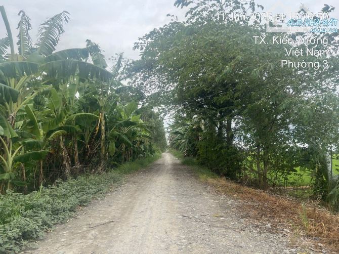 Bán đất 4.084,8m² trung tâm Kiến Tường – Long An - 1