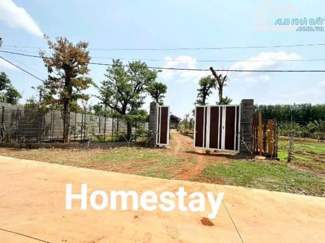 🔥 5x30m Full Thổ Cư – Đất Eatu Trung Tâm – 1 tỷ 150 triệu bớt lộc! - 1