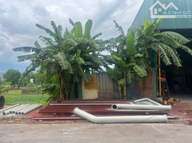 Bán đất view cánh đồng khu đấu giá Đồng Cửa Quán, Thanh Trù, Vĩnh Yên, Vĩnh Phúc. - 1