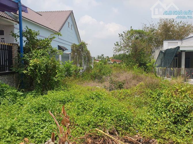 BÁN ĐẤT  TẠI LỘC GIANG – ĐỨC HÒA, LONG AN - 1