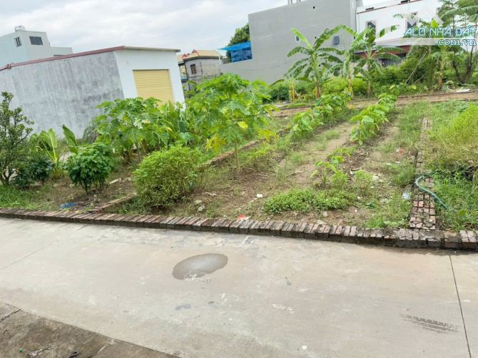 Chính chủ cần tiền gửi bán mảnh đất tại tổ 9 Quang Minh, Mê Linh. Tiện ích ngập tràn - 1